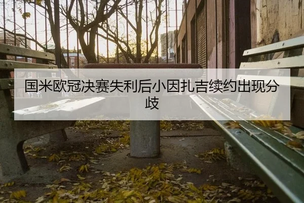 国米欧冠决赛失利后小因扎吉续约出现分歧