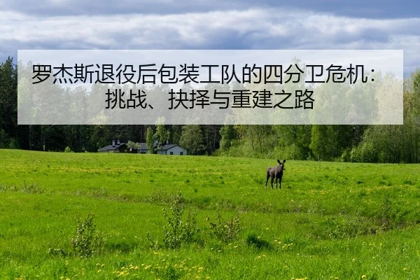 luo-jie-si-tui-yi-hou-bao-zhuang-gong-dui-de-si-fen-wei-wei-ji-tiao-zhan-jue-ze-yu-chong-jian-zhi-lu-2-546.jpg